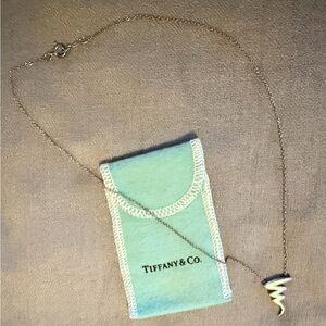 Tiffany & Co. Paloma Picasso Scribble Necklace